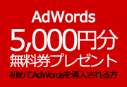 AdWords 5000~It
